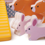 Noah’s Ark