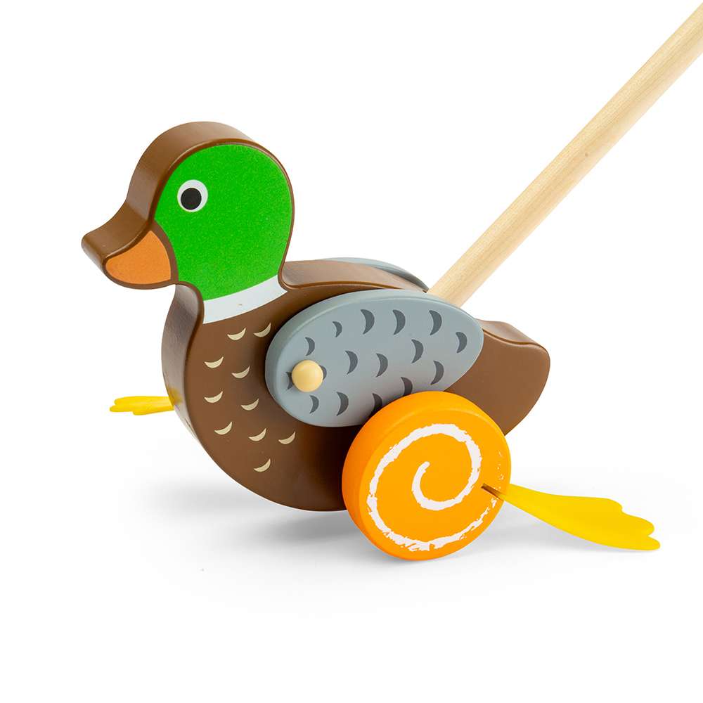 Duck Push Along