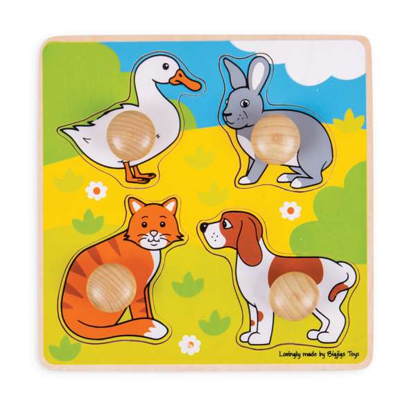 Pet Peg Puzzle