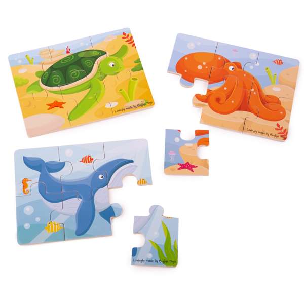 Underwater Tray Puzzle
